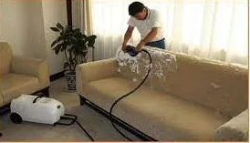 Sofa cleaner near me