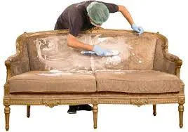 Sofa cleaner near me